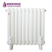 選暖氣要了解其打成材質